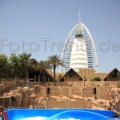 Wild Wadi Rutsche